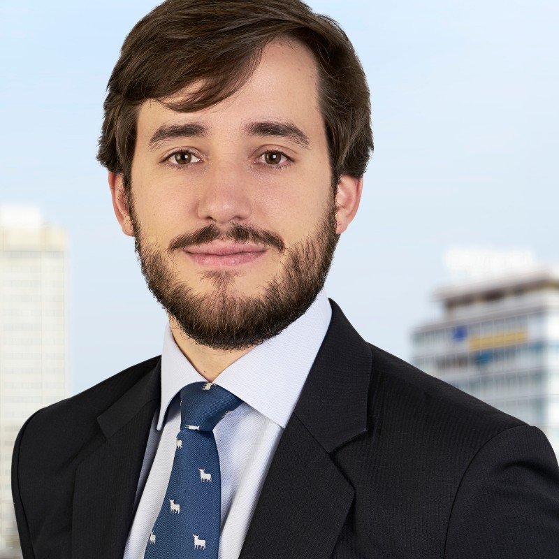 Mario García Cañedo