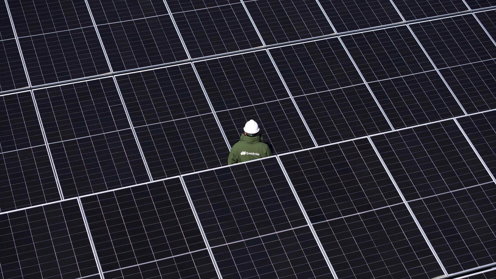 Planta fotovoltaica de Iberdrola. - Iberdrola