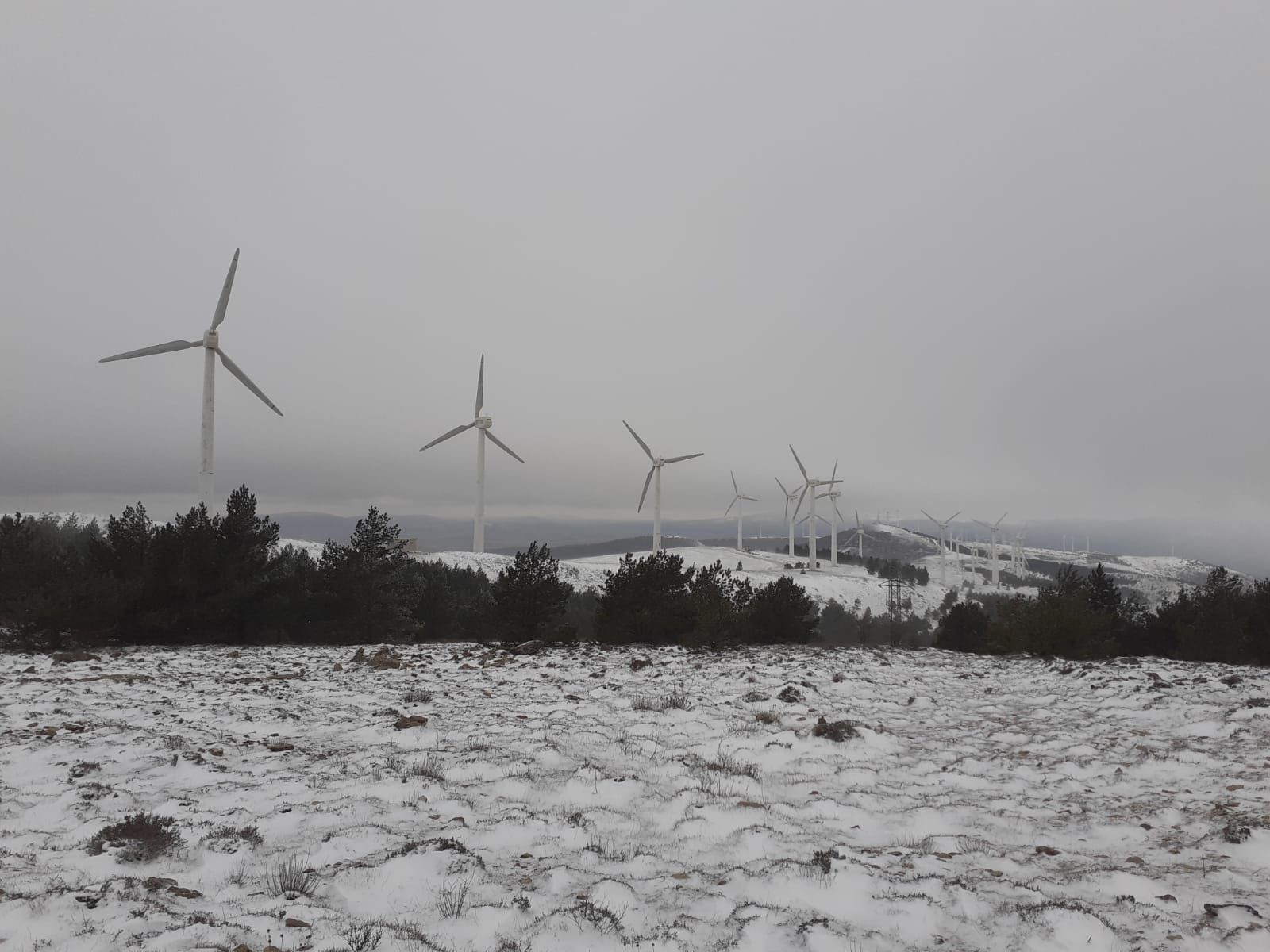 Un parque eólico durante una nevada en España.  - FOTO: AEE
