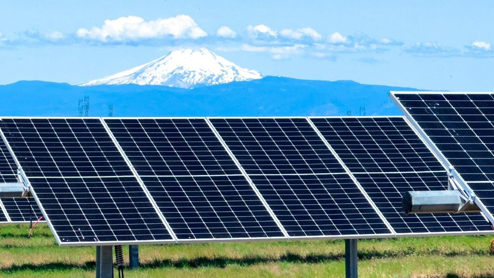 Planta fotovoltaica de Iberdrola. - Iberdrola