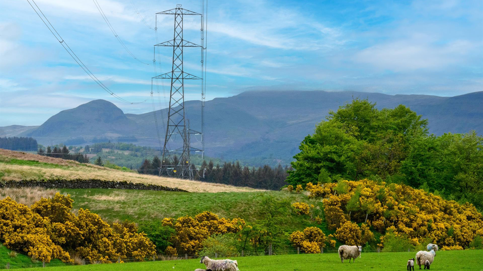Iberdrola cerró 2025 con una cifra récord de electricidad distribuida, con 255.976 GW. - Iberdrola