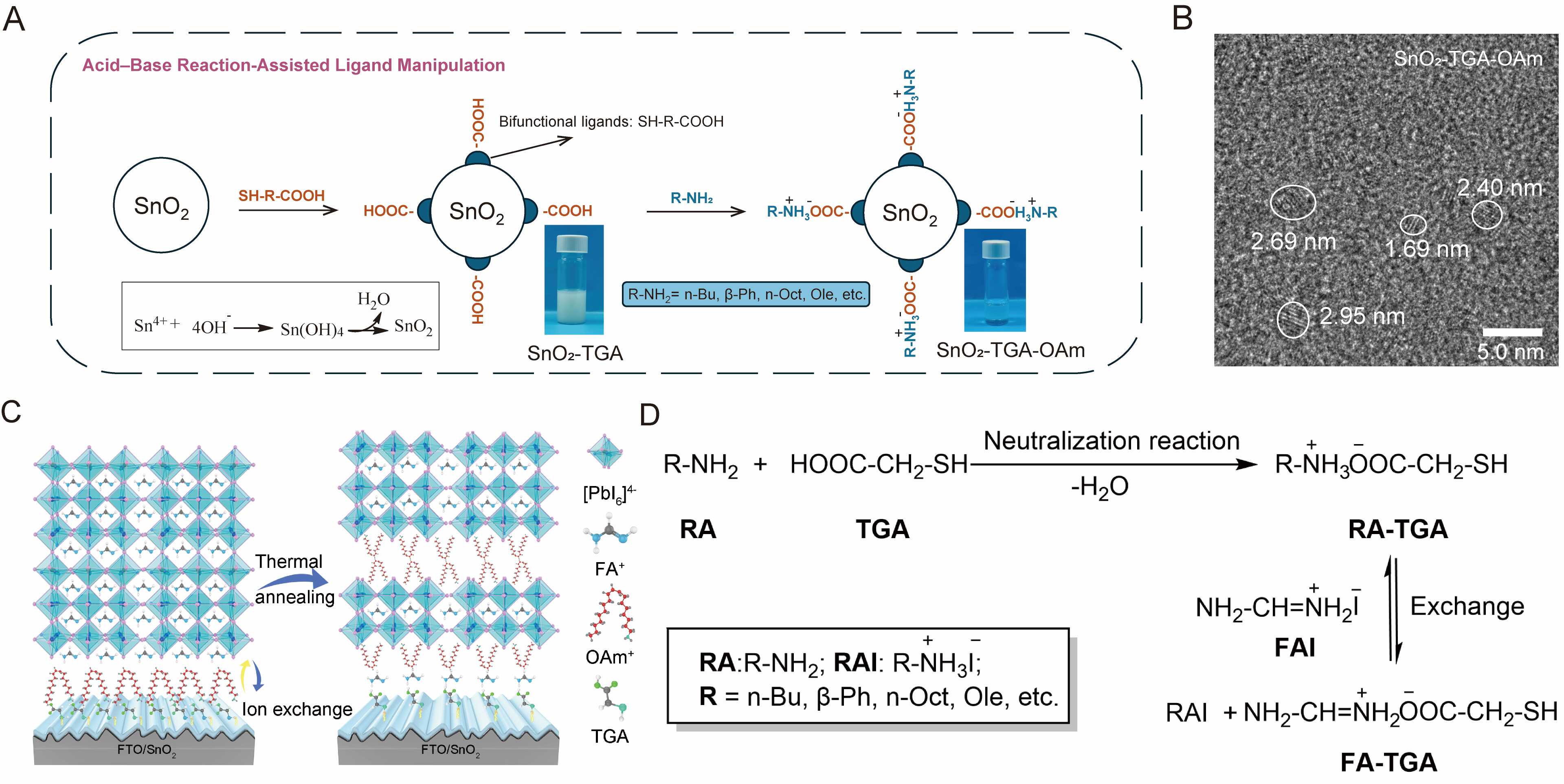  /></p><p>Para abordar este problema, el equipo de investigación injertó secuencialmente ácido tioglicólico (TGA) y oleilamina (OAm) en la superficie de nanopartículas de dióxido de estaño (SnO 2 ), produciendo el material modificado SnO 2 -TGA-OAm.</p>
<p>La fuerte unión química entre TGA y OAm garantiza que el intercambio de cationes con yoduro de formamidinio (FAI) ocurra solo durante el recocido térmico de las películas de perovskita, lo que permite la formación espontánea de una heteroestructura de perovskita 2D/3D únicamente en la interfaz inferior de la película.</p>
<blockquote><p>El redactor recomienda: </p><ul><li><a href=