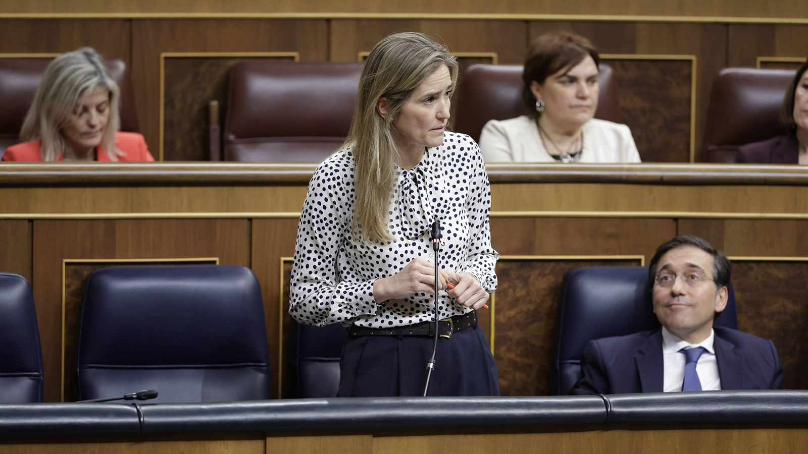 La ministra para la Transición Ecológica y el Reto Demográfico, Sara Aagesen. - Congreso de los Diputados