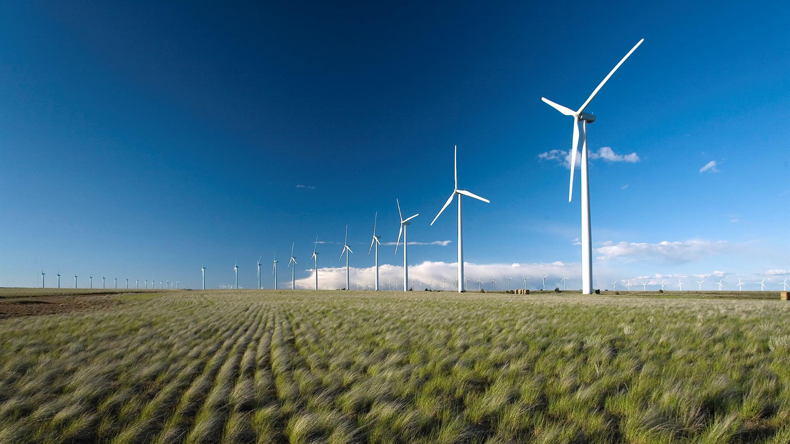 Parque eólico de Iberdrola. - Iberdrola
