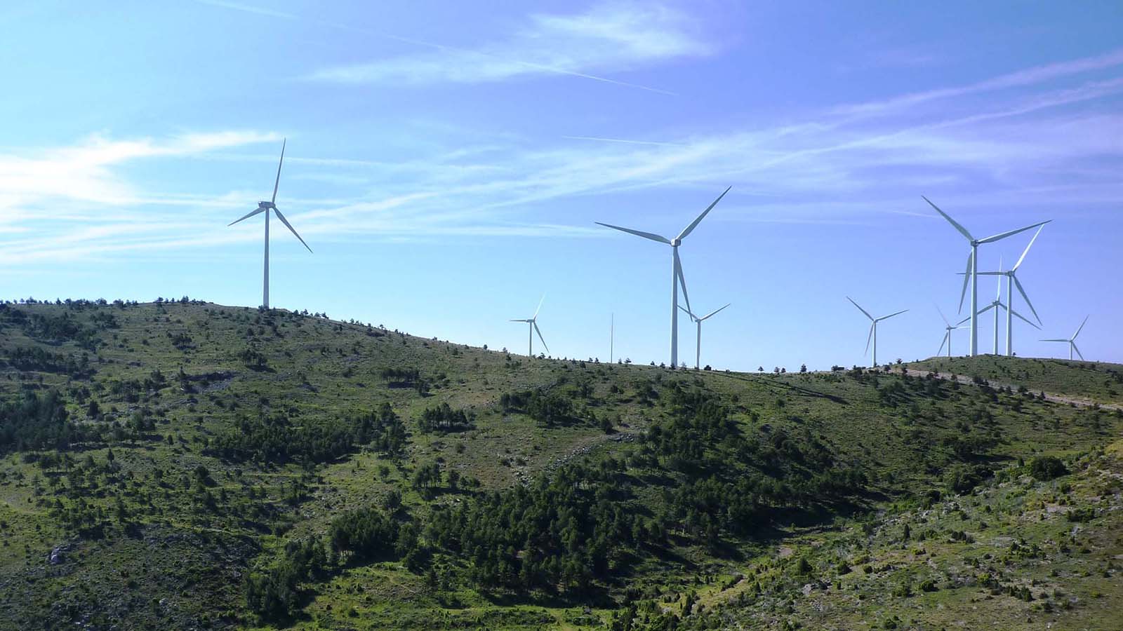 Parque eólico de Enel Green Power España. - Enel Green Power España