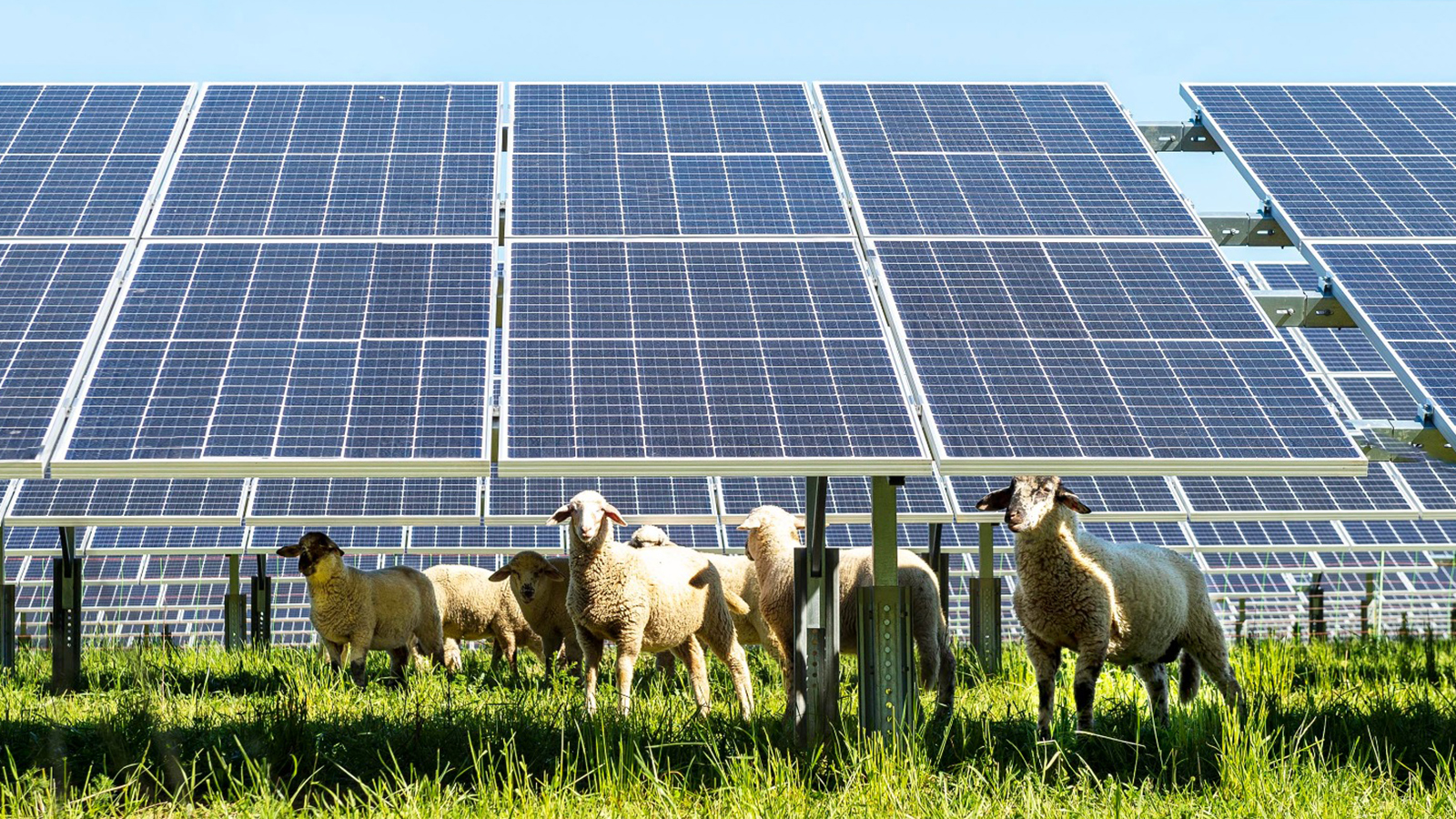 Solar Energy Saves 17 Billion Euros for Consumers in Spain