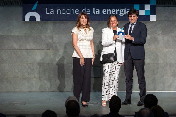 Los ganadores de los Premios de El Periódico de la Energía 2025